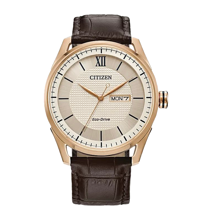 Citizen Classic