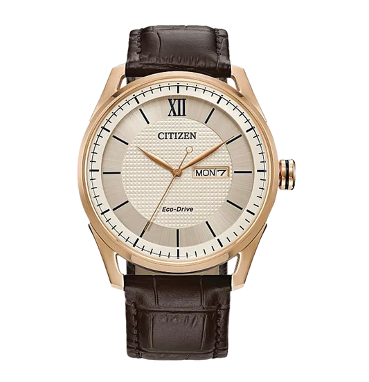 Citizen Classic