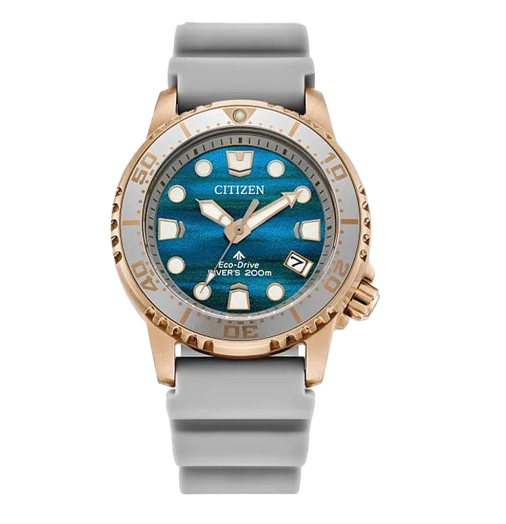 Citizen Promaster Dive