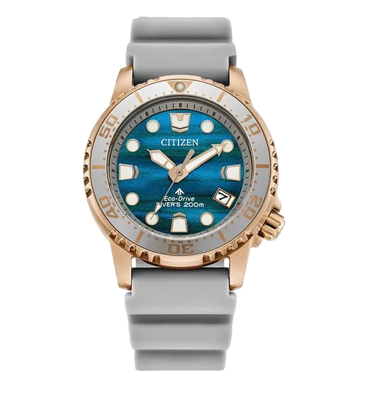 Citizen Promaster Dive